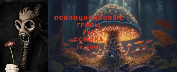 дурь Абаза